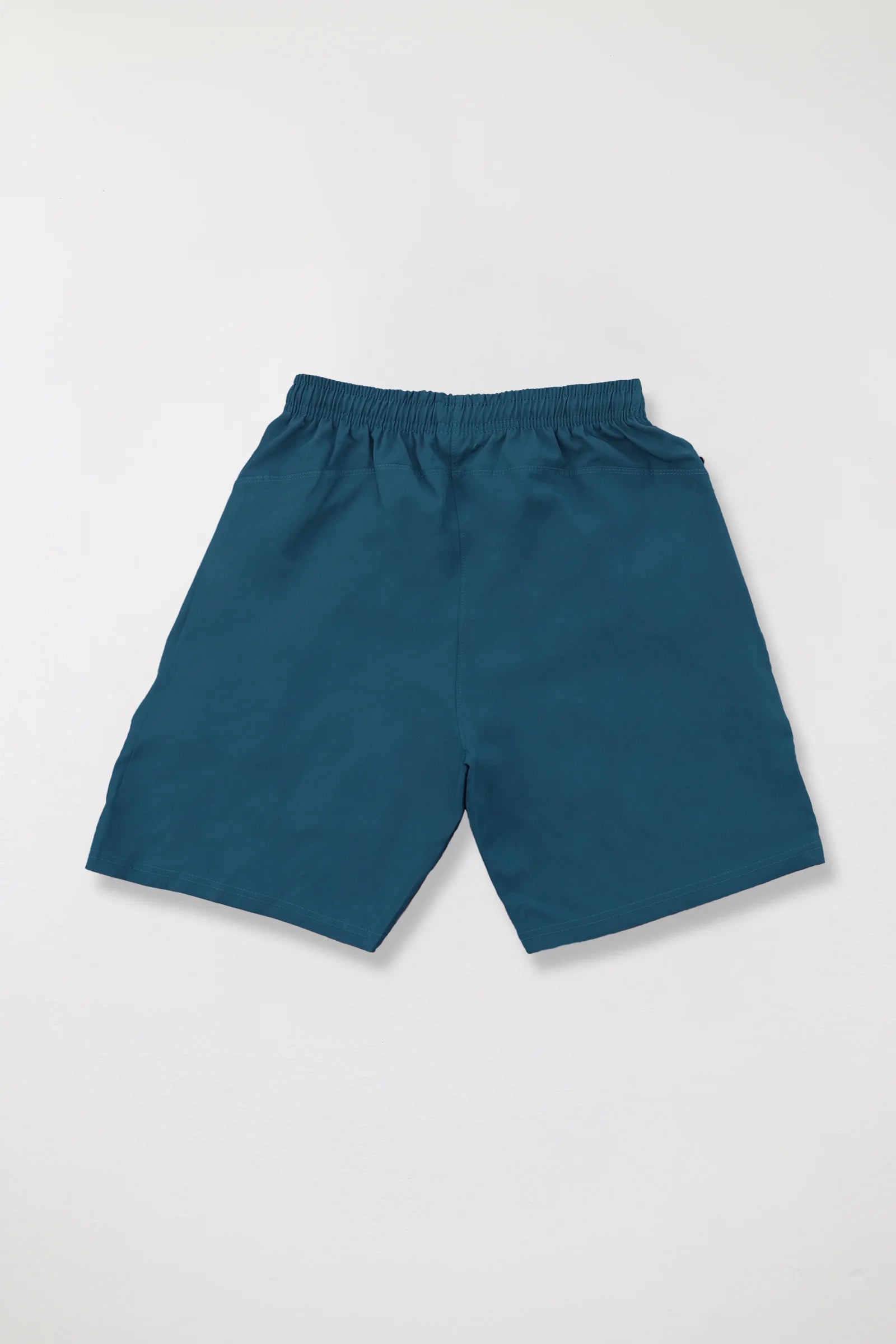 Ns fabric Shorts (Blue)